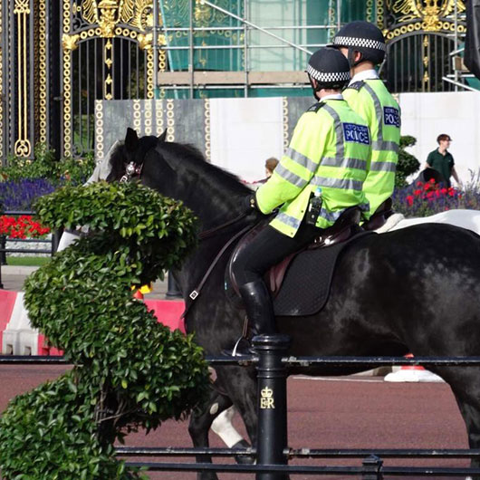 British Mounted Police